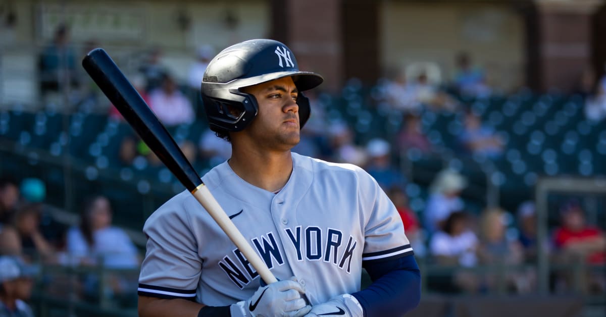 New York Yankees Prospect Jasson Dominguez Makes History in First MLB  At-Bat - Sports Illustrated NY Yankees News, Analysis and More