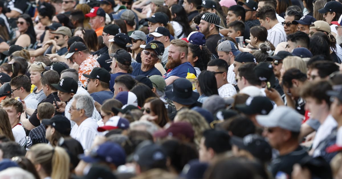 VIDEO: Wild Brawl Breaks Out Between Cubs and White Sox Fans in the Stands