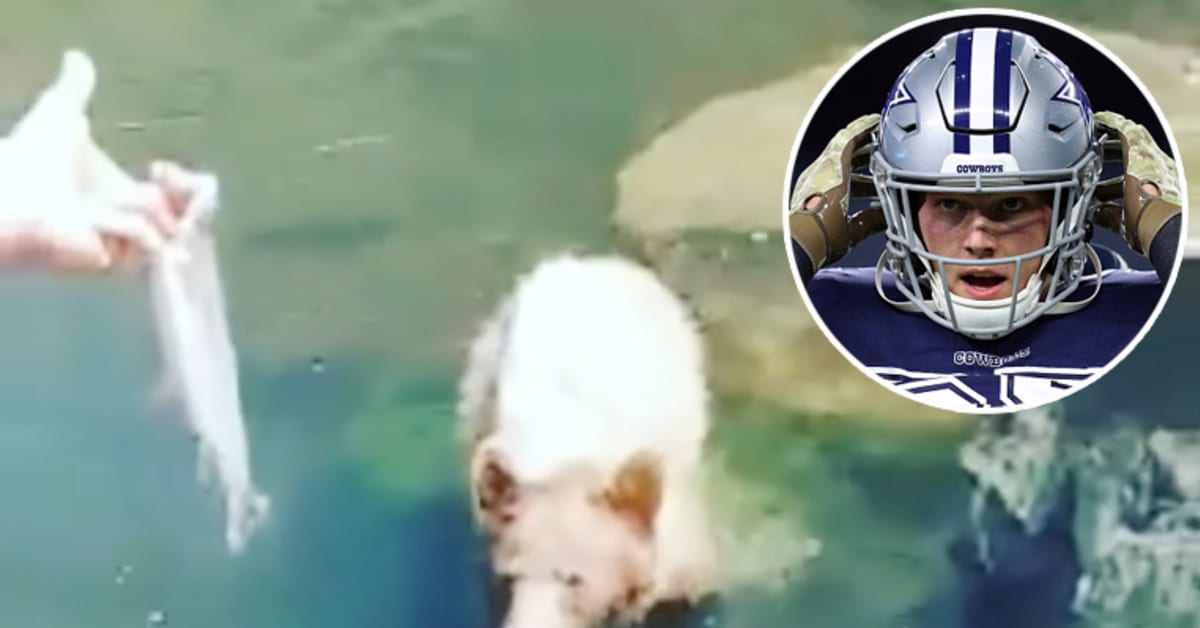 Cowboys' Leighton Vander Esch feeds bear while fishing