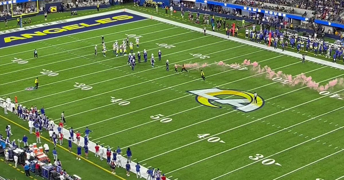 Protester Dragged Off Field For Interrupting Rams-Bills Game With Pink Flare