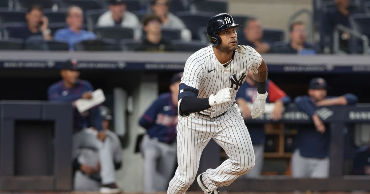 Aaron Hicks  Minor League Madhouse