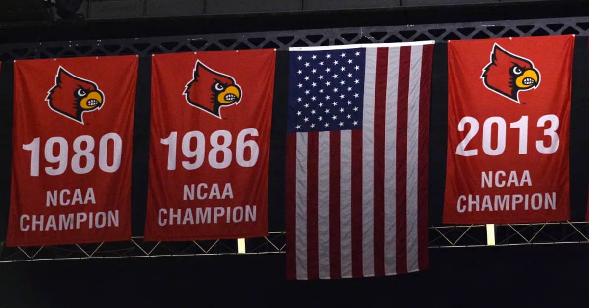 3'x5' Louisville Cardinals Flag – Service First Products