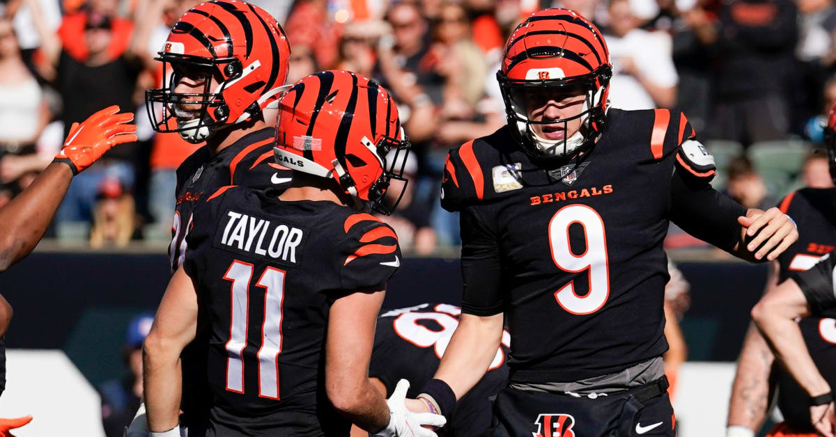 Cincinnati Bengals Unsigned Team Snow Angels Celebration Photograph