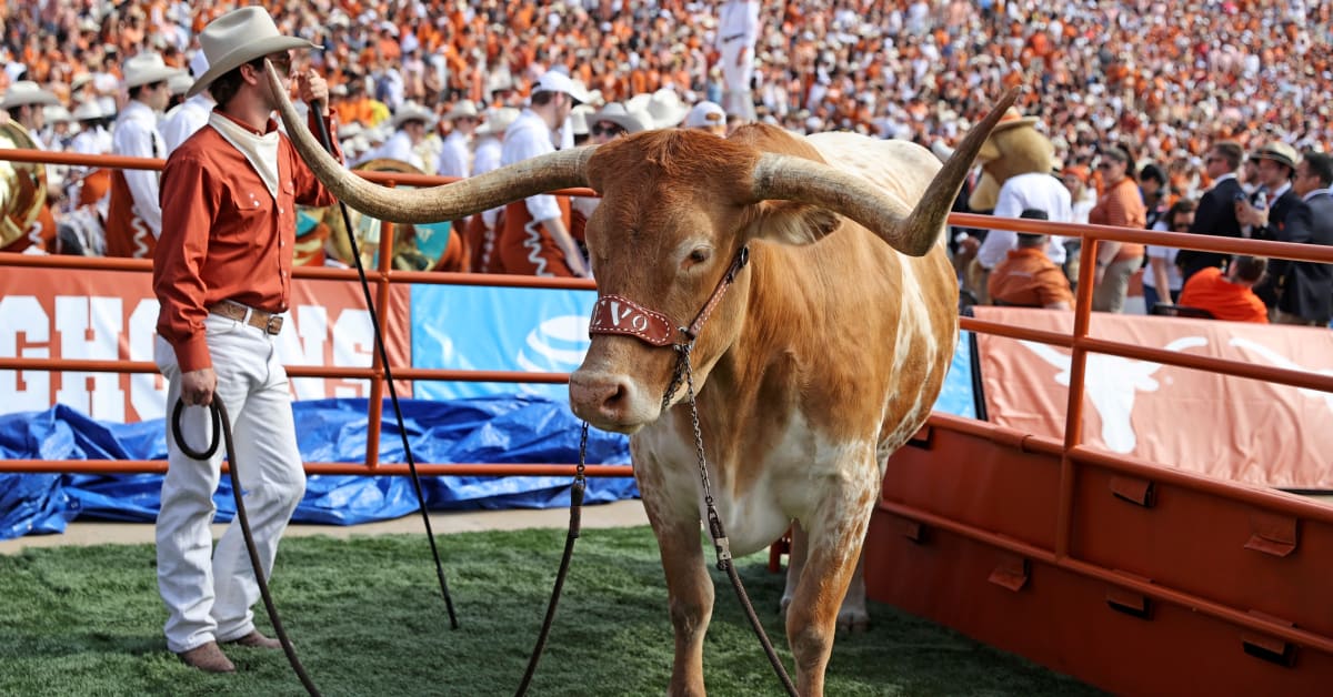 Texas Mascot Bevo Knocks Handler’s Hat Off During ‘College GameDay ...