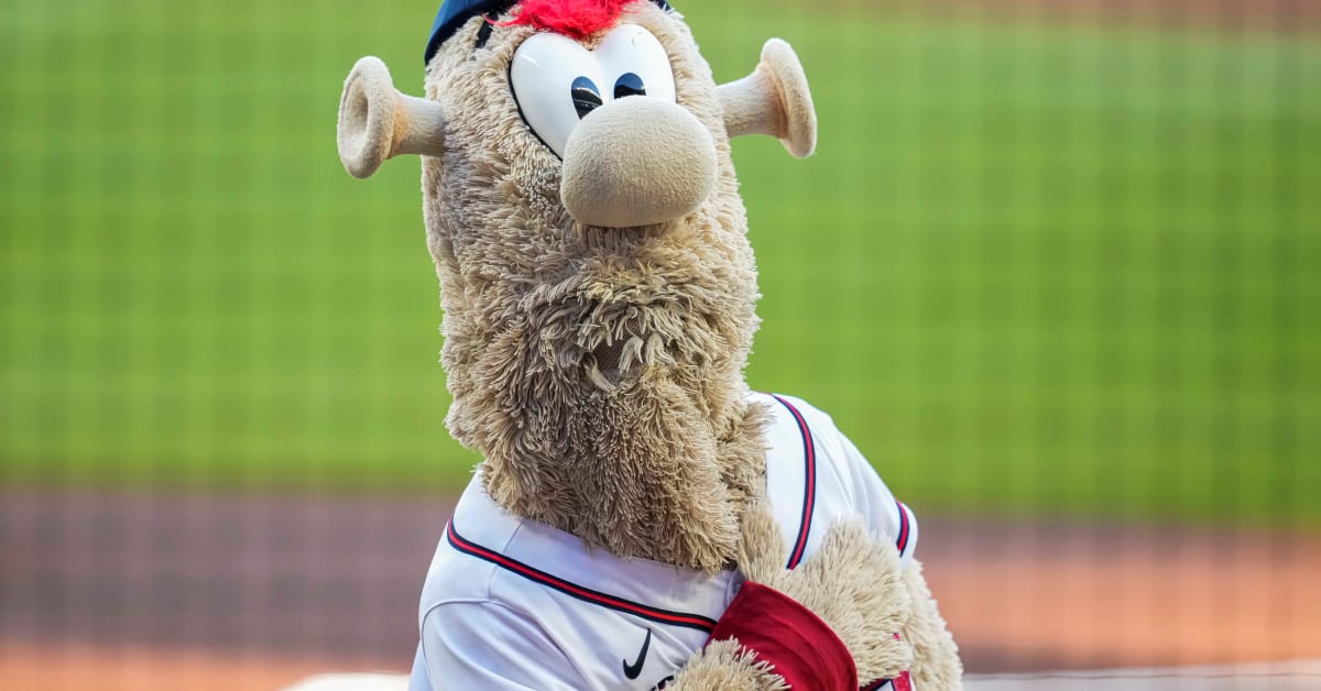 Atlanta Braves mascot, Homer, watches the celebration - NARA