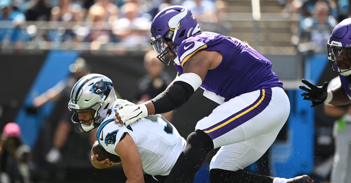 Vikings get 5 sacks, defeat Panthers 21-13