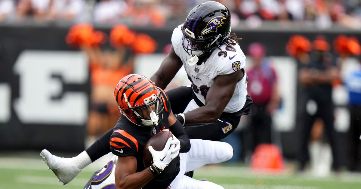 Baltimore Ravens: Ravens Building a Bengal-Beating Roster