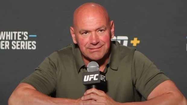 MMA Legend Loses Lawsuit Filed Against UFC CEO Dana White & Brock Lesnar -  Sports Illustrated MMA News, Analysis and More