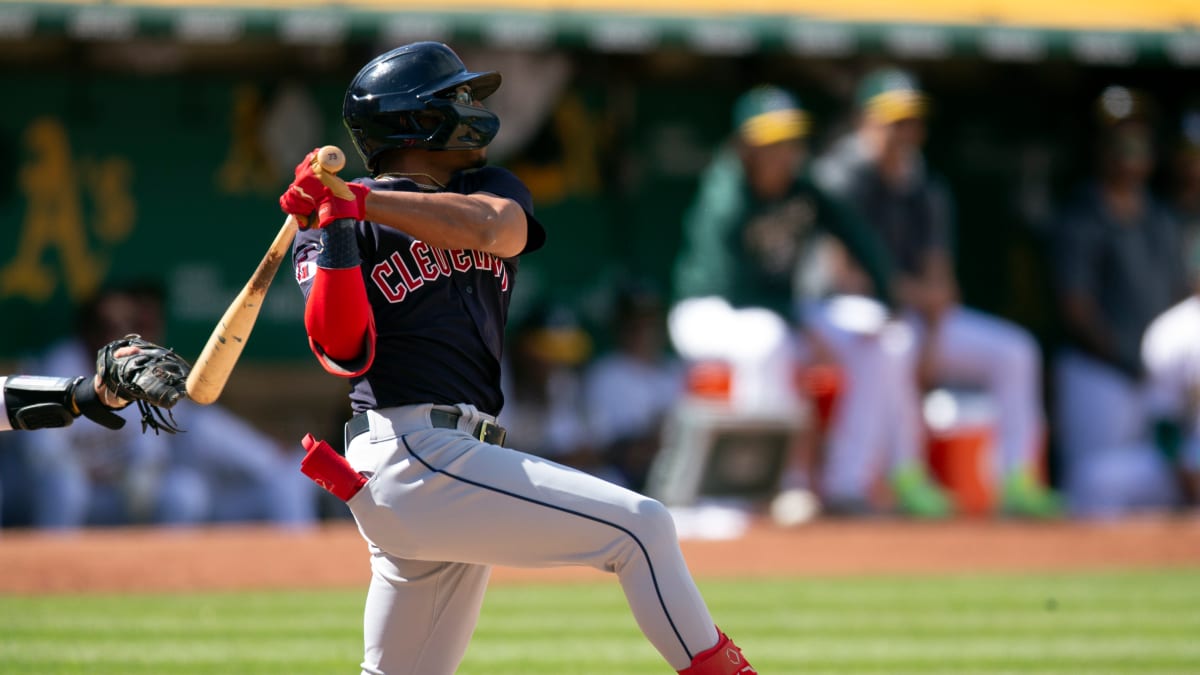 Richie Palacios grounds into a double play, second baseman Adam