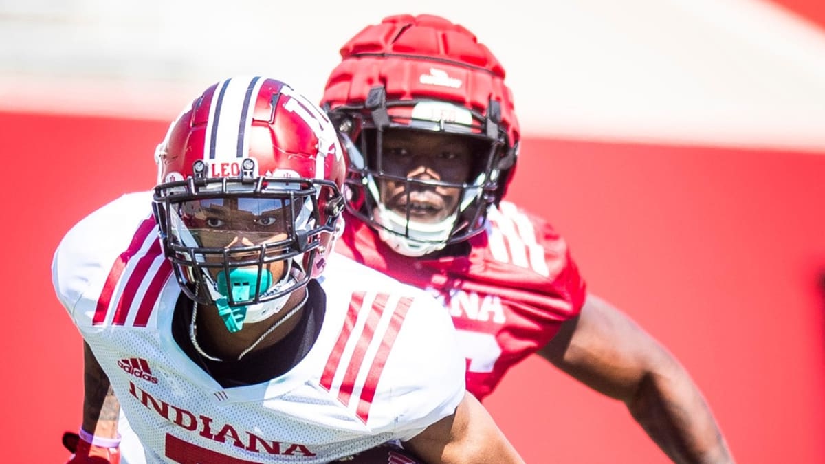 Indiana Football Players in NFL, Week 4: Nick Westbrook-Ikhine Dominates  Against Cincinnati - Sports Illustrated Indiana Hoosiers News, Analysis and  More