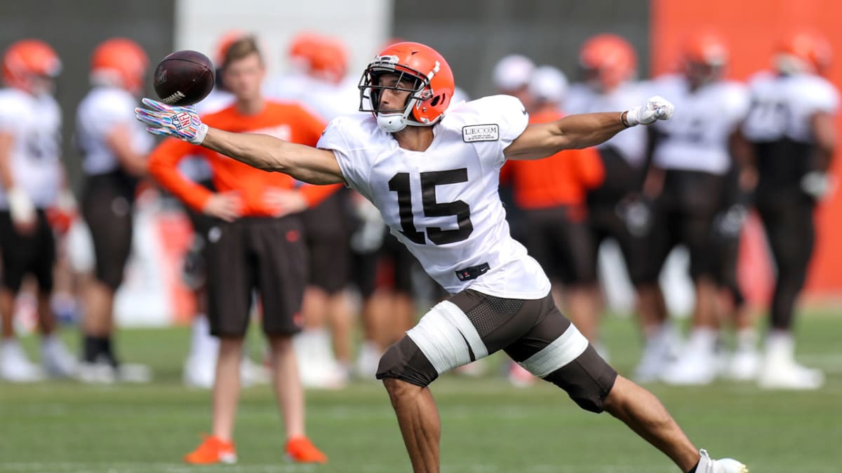 Damon Sheehy-Guiseppi touchdown made Browns go crazy