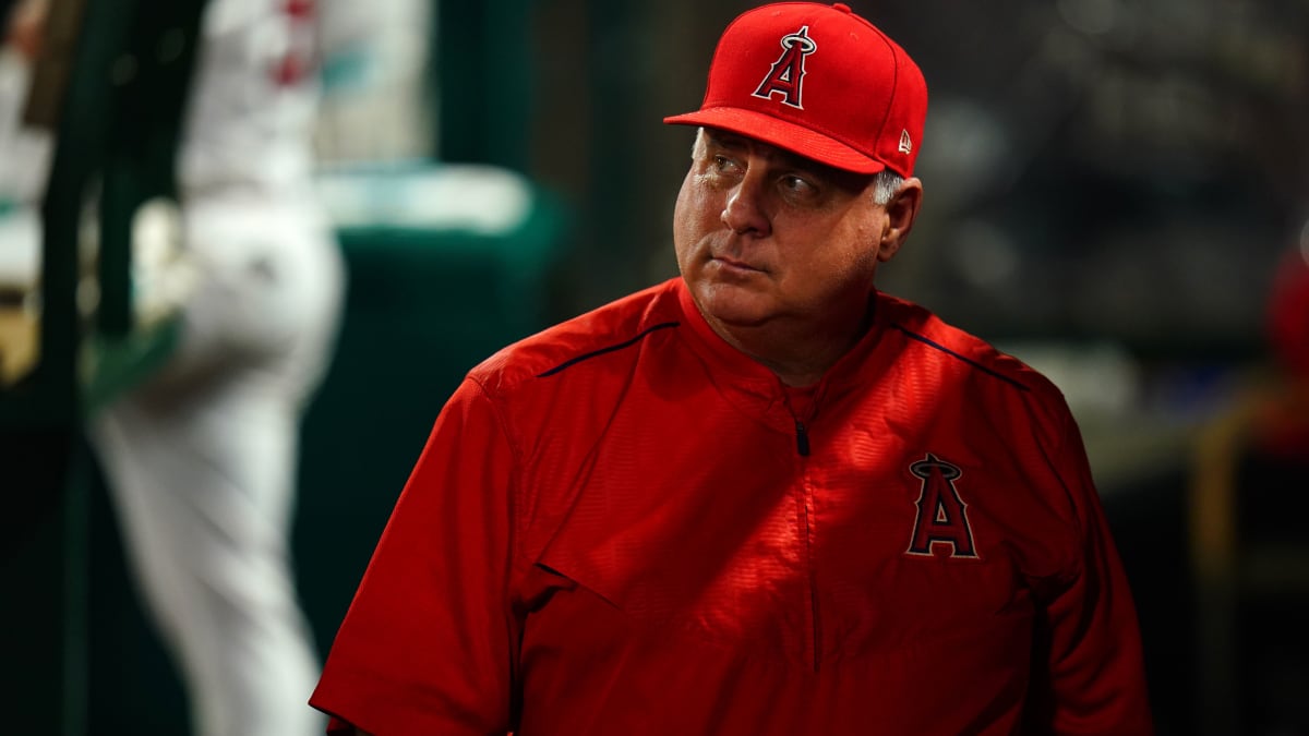 Dodgers Manager Mike Scioscia?