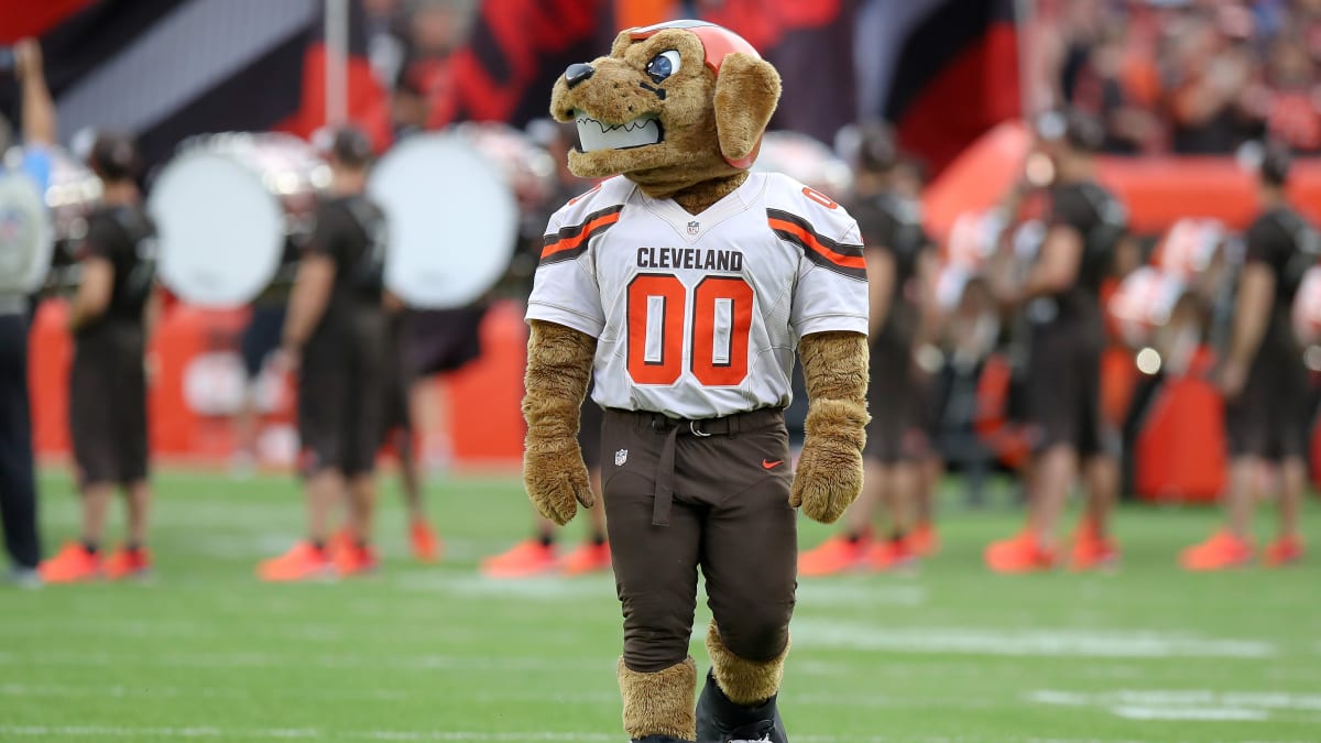 Brad Paisley catches Browns practice