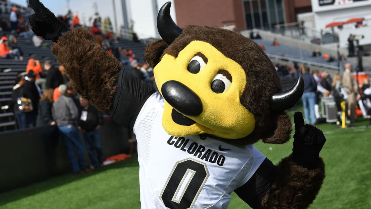 Colorado mascot shoots themselves with T-shirt gun, carted off