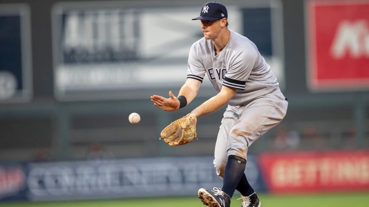 Brett Gardner and Aaron Judge nominated for Rawlings Gold Glove Award, Bronx Pinstripes