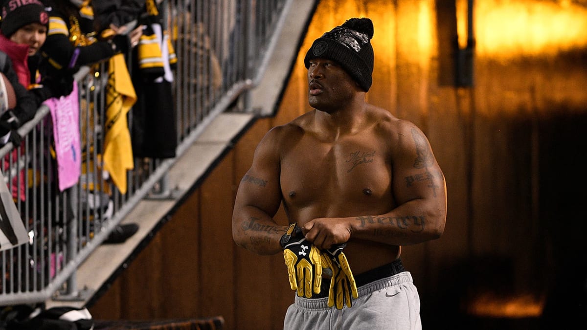 THE SILVER BACK, JAMES HARRISON.  James harrison, Steeler nation