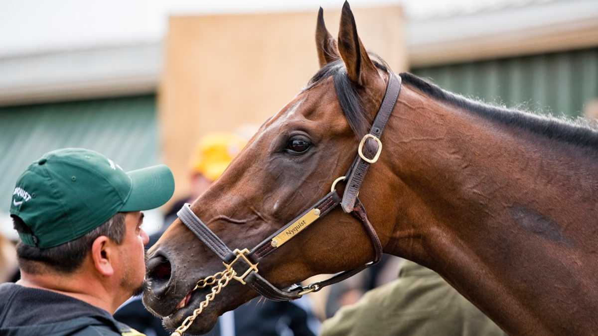 Preakness Stakes winners: Full list of past results - Sports Illustrated