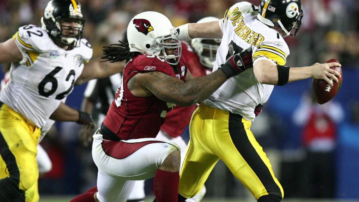 Arizona Cardinals release Darnell Dockett - Sports Illustrated