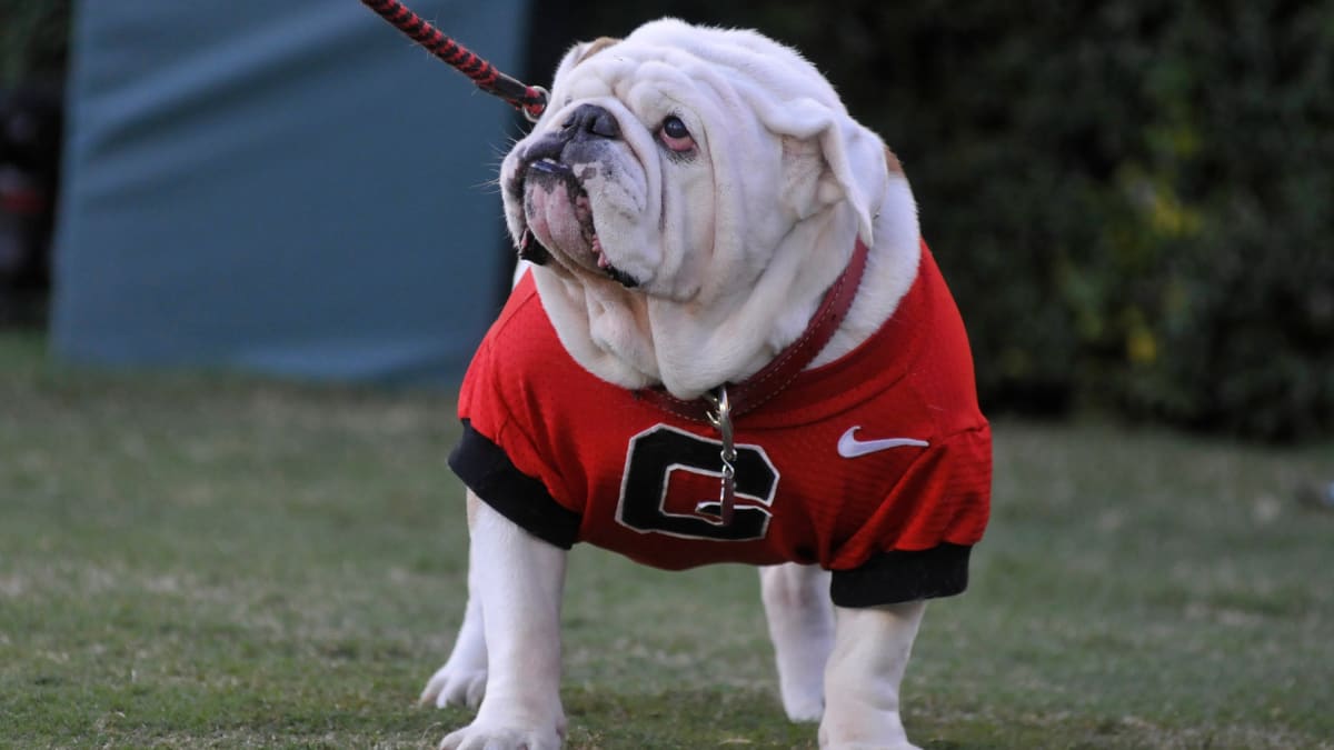 Owner of Georgia's Famous UGA Bulldog Mascots Passes Away - WDEF