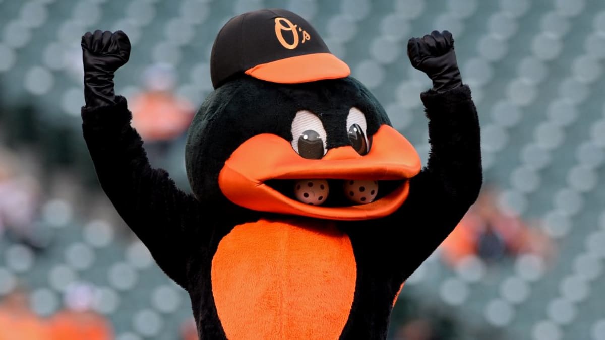 Baltimore Ravens mascot, Poe, left, and Baltimore Orioles mascot, the Oriole  Bird, gather behind home plate prior to the first inning of a baseball game  between the Baltimore Orioles and the Seattle