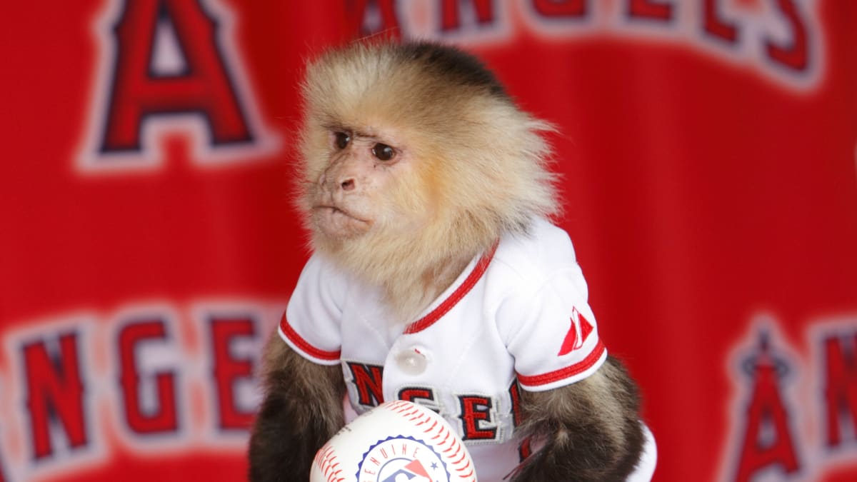 2018 Topps Opening Day Mascots #M-14 Rally Monkey Los Angeles Angels