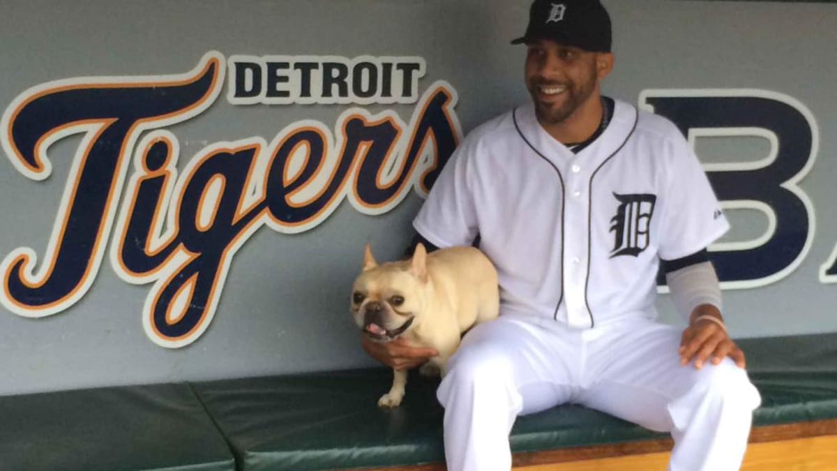 National Puppy Day photo gallery of athletes and their dogs - Sports  Illustrated