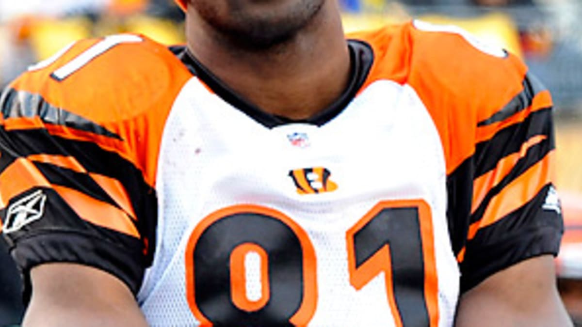 T.J. Houshmandzadeh Says Terrell Owens Can Still Play In NFL, 'He