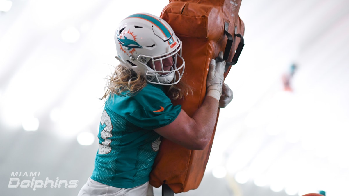 Miami Dolphins inside linebacker Andrew Van Ginkel (43) defends against the  New York Jets during an NFL football game, Sunday, Nov. 21, 2021, in East  Rutherford, N.J. (AP Photo/Adam Hunger Stock Photo - Alamy