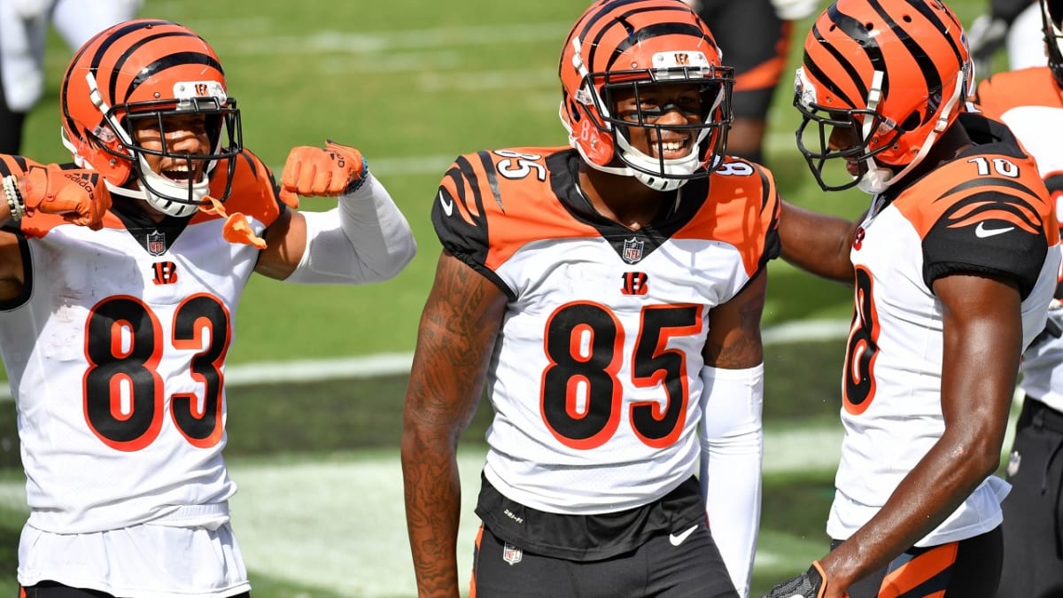 Nate Burleson, Tyler Boyd say Tee Higgins reminds them of Calvin Johnson,  “the other Megatron” - Cincy Jungle