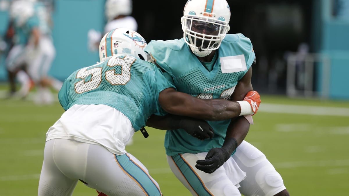 Salvon Ahmed of the Miami Dolphins rushes against the Houston