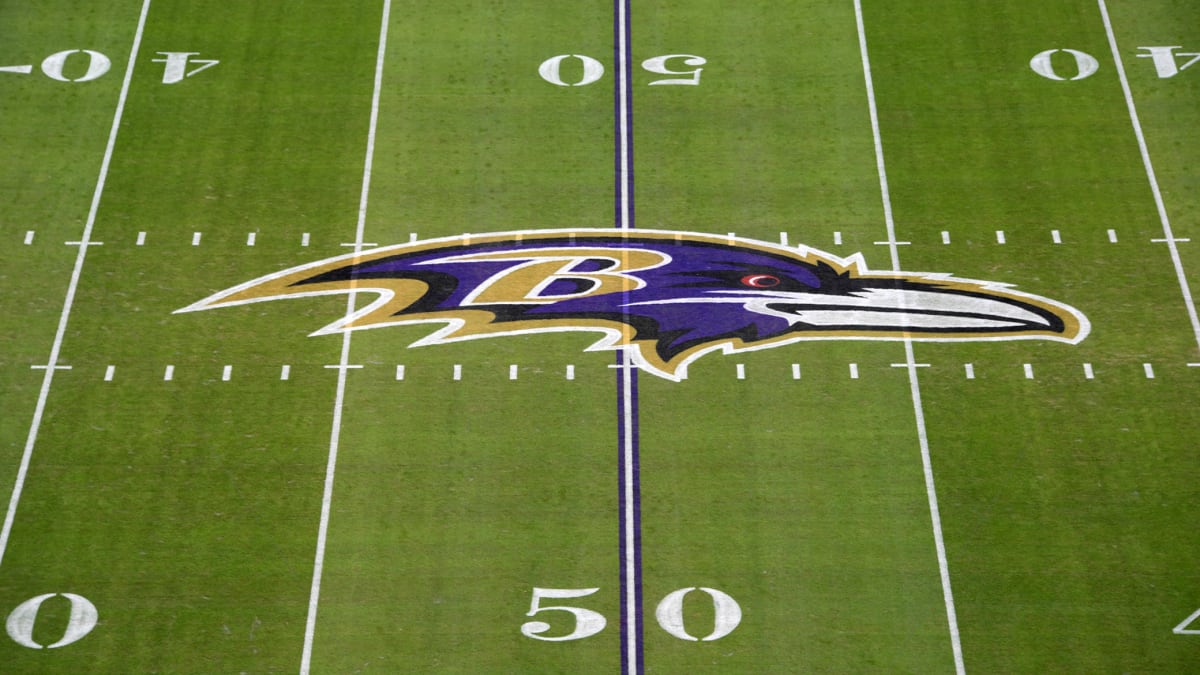 Baltimore Ravens 50 Yard Line Panoramic