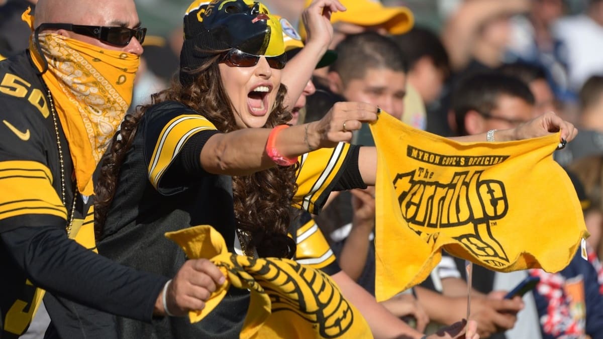 How, why and who the Pittsburgh Steelers' fanbase has become