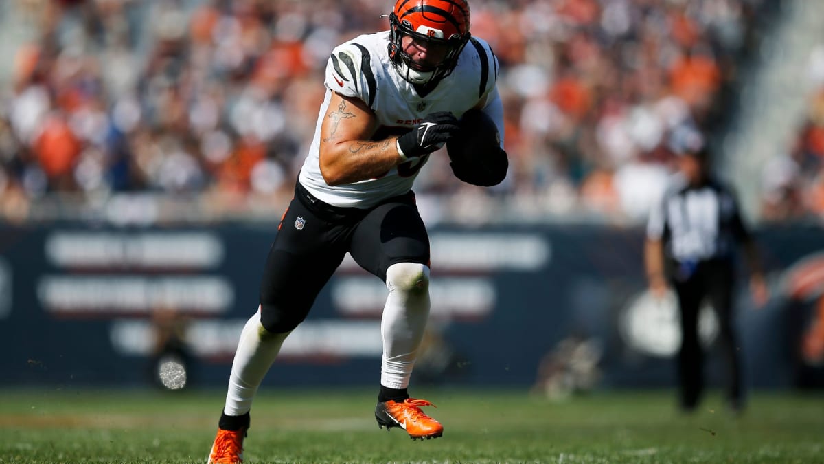 From the Other Side: Bengals LB Logan Wilson on Intercepting Ben  Roethlisberger - Steelers Now