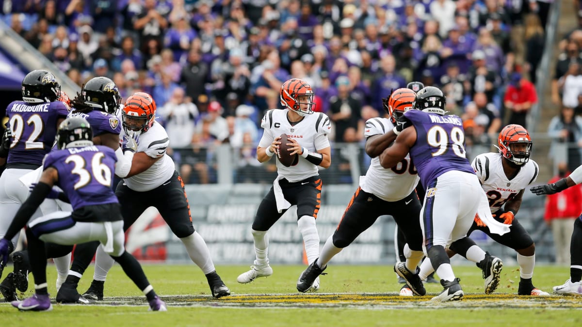 CINCINNATI, OH - JANUARY 03: Baltimore Ravens helmets sit on the sideline  during the game against the Baltimore Ravens and the Cincinnati Bengals on  January 3, 2021, at Paul Brown Stadium in