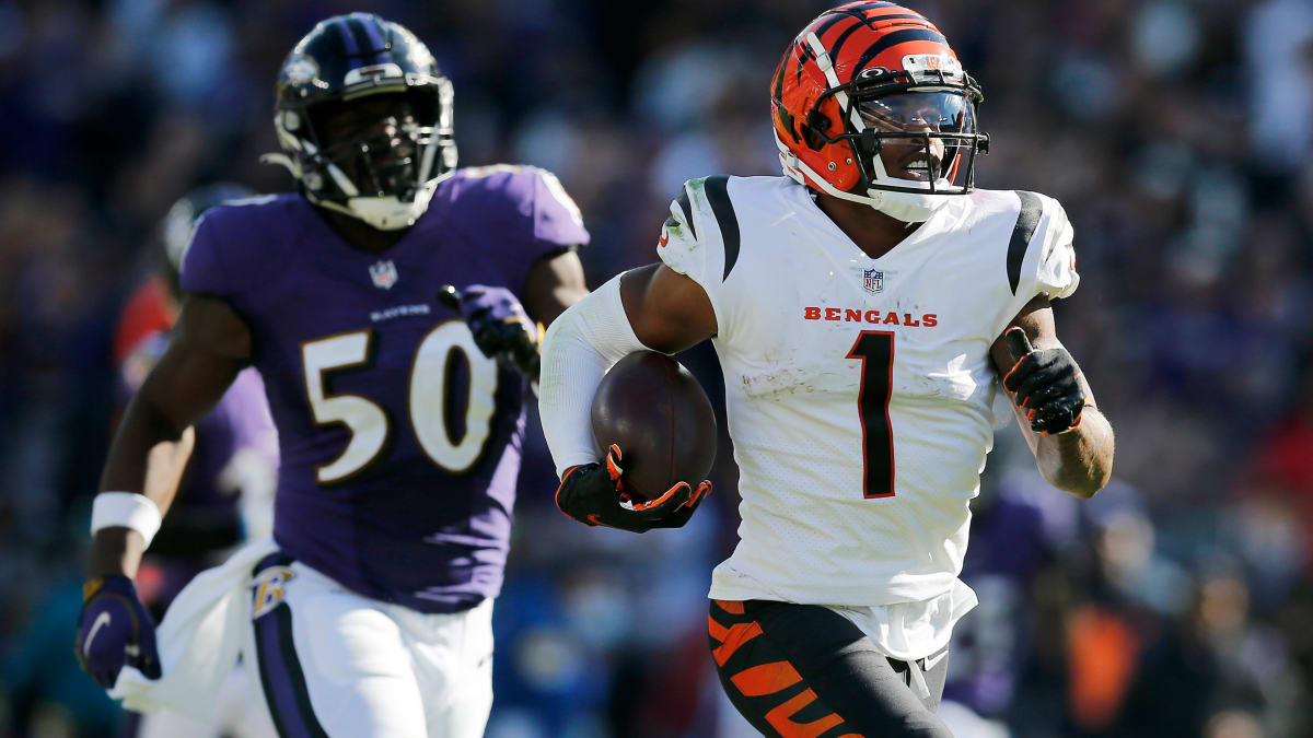 NFL Week 16 Sunday preview: COVID sidelines super-sub Ravens QB and Kryk's  straight-up picks