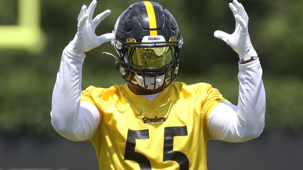 How Brian Flores Can Revive Career of Devin Bush