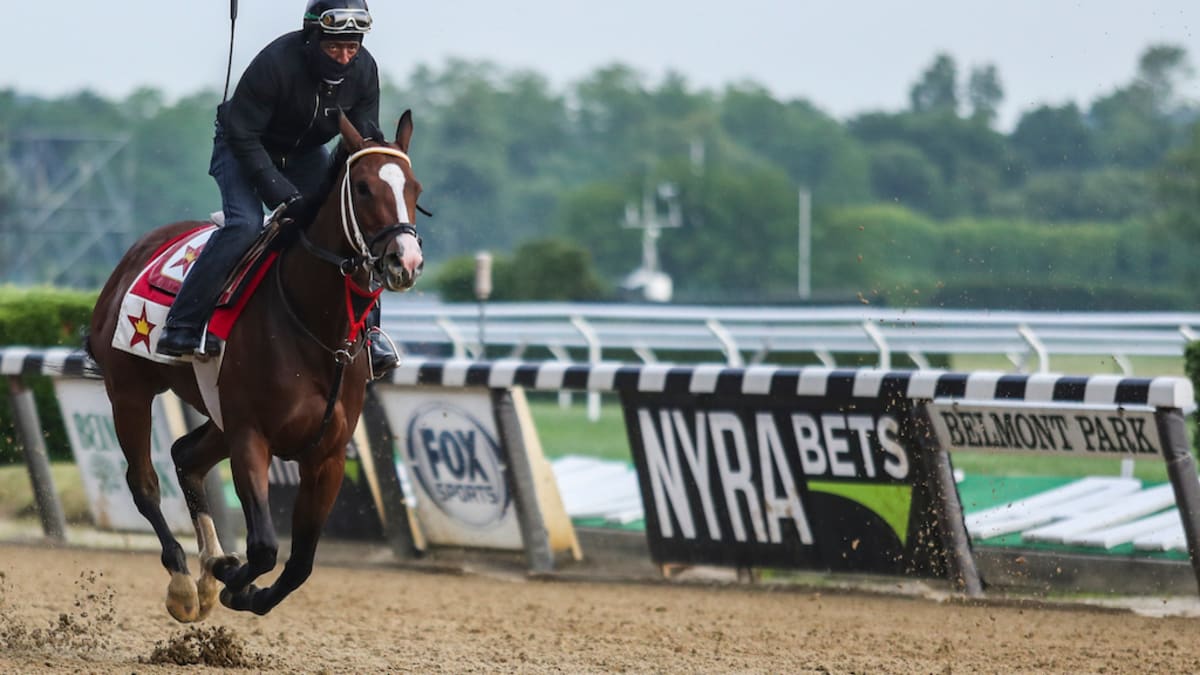 2021 belmont stakes betting breakdown analysis and best bets sports illustrated