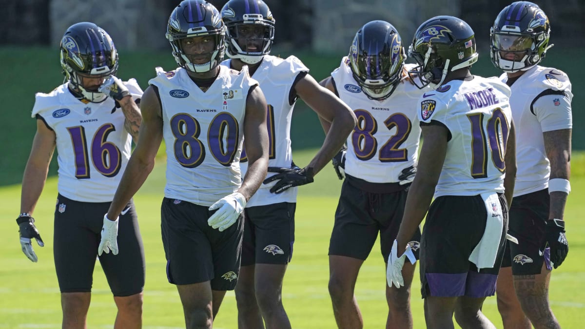 How to Attend Ravens Training Camp: A Fan's Guide