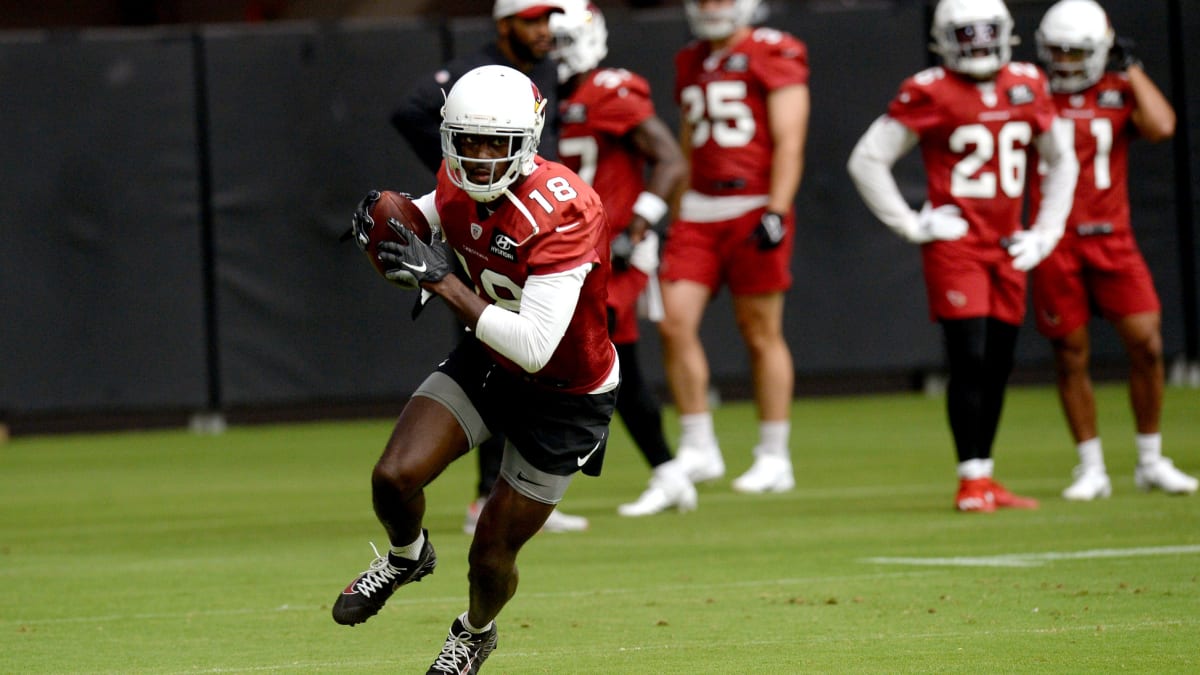 Arizona Cardinals training camp: Observations from Sunday's practice