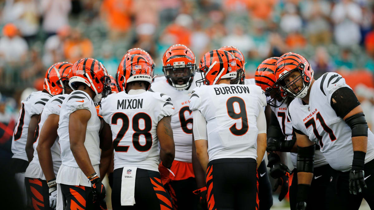 Super Bowl champs rest starters, fall to Bengals 19-14