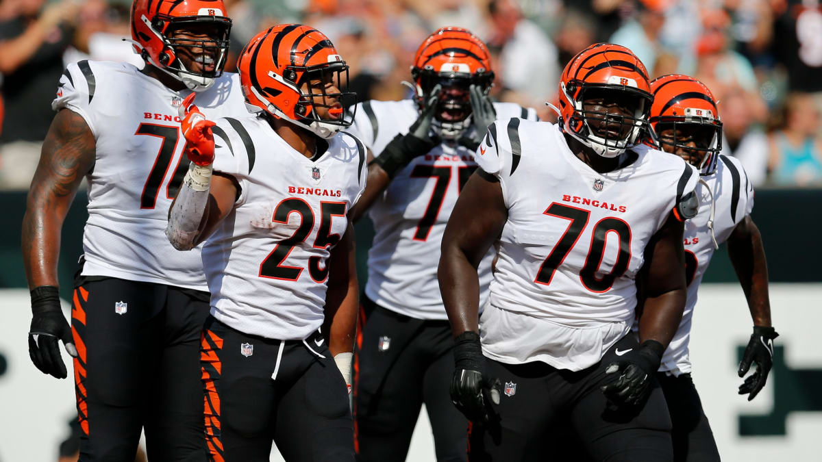 Jonah Williams and Riley Reiff Lead Bengals Offensive Line Breakdown of 53  Man Roster