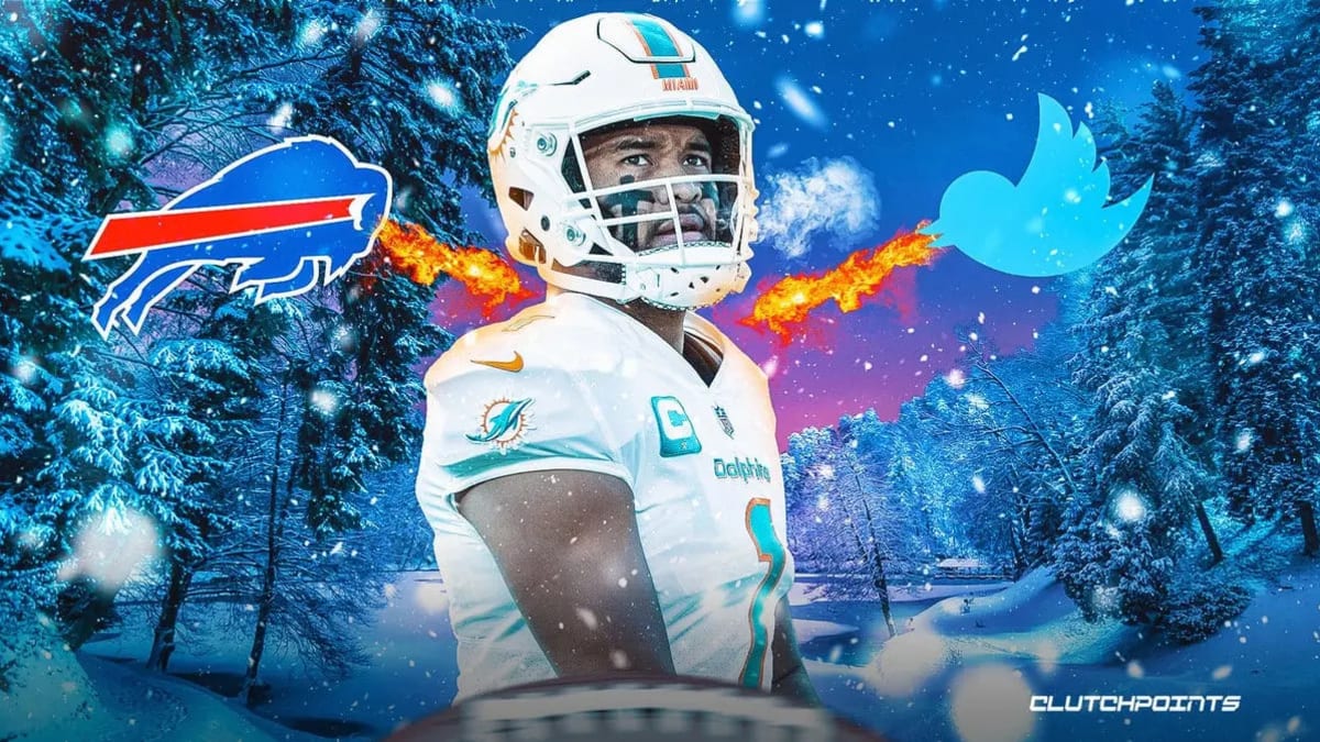 miami dolphins snow