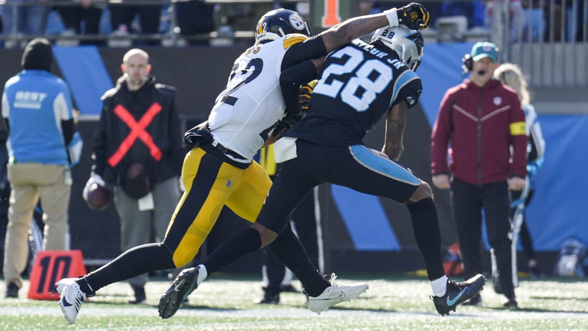 Panthers lose, 24-16, to Steelers