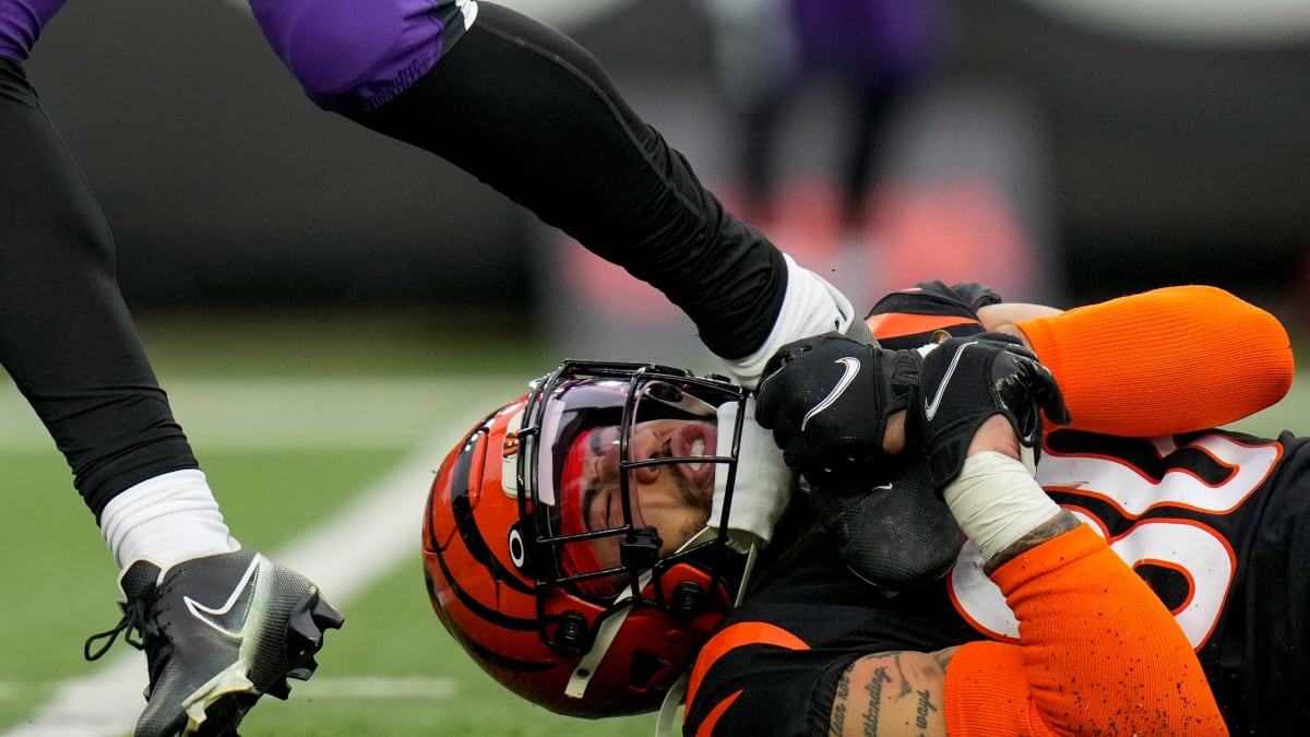 Cincinnati Bengals Win Back-to-Back AFC North Championships For First Time  in Team History - Sports Illustrated Cincinnati Bengals News, Analysis and  More