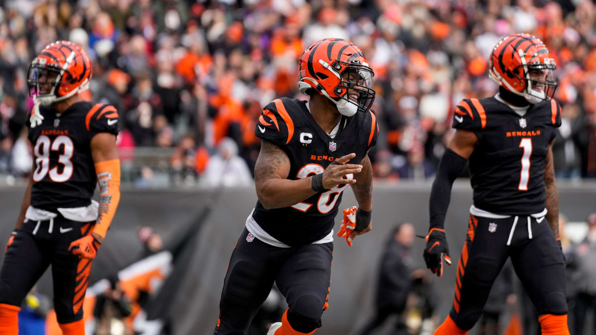 Mike Brown is bullish on the Cincinnati Bengals offensive line - Sports  Illustrated Cincinnati Bengals News, Analysis and More