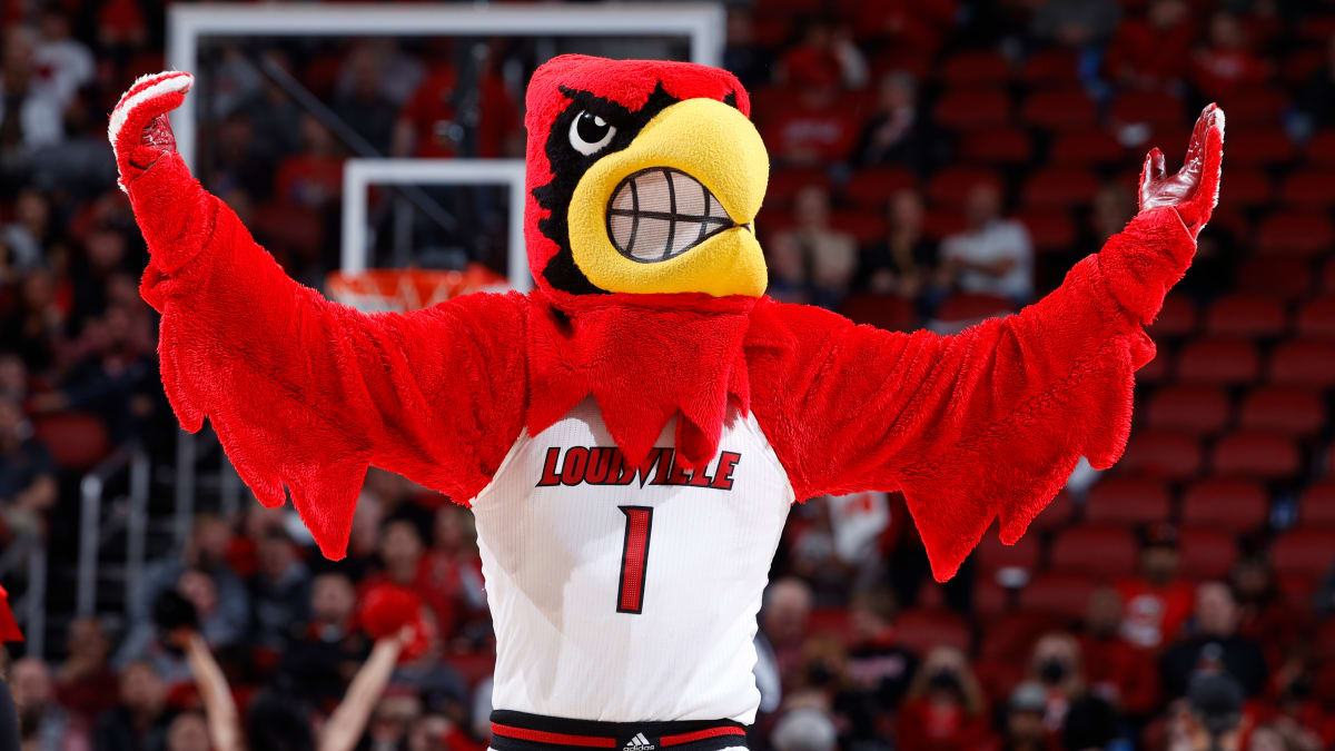 Cardinals fans football seating arrangement at UofL games