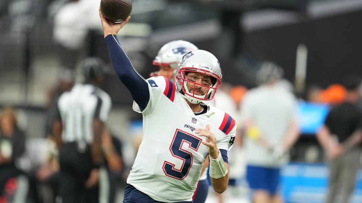 Bears sign veteran quarterback Brian Hoyer - NBC Sports