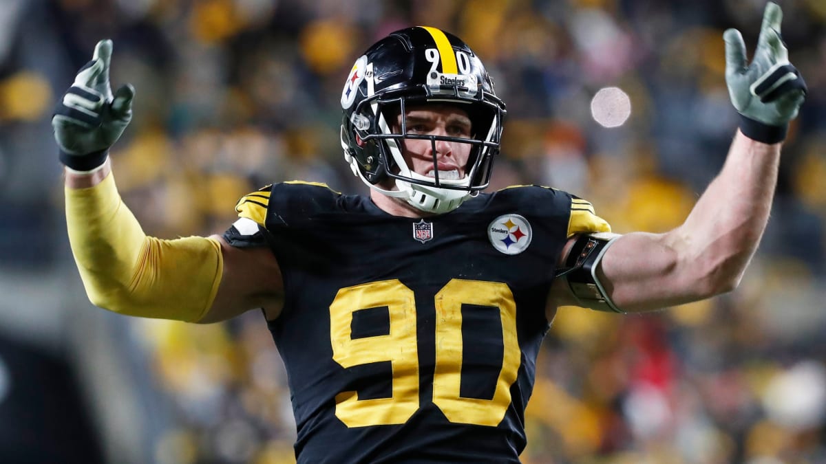 Pittsburgh Steelers OLB T.J. Watt talks about pool plunge: 'I don't know  how I missed the step, but I did'