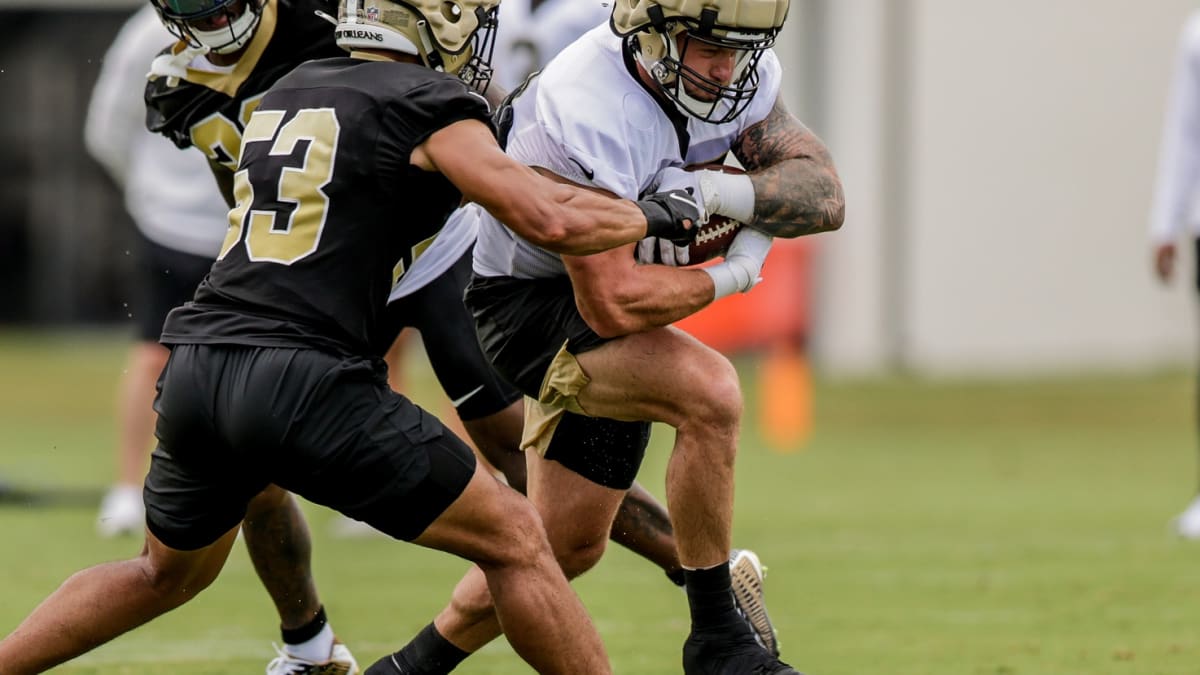 Saints counting on continued breakout from linebacker Pete Werner – and  breakthroughs for Zack Baun, D'Marco Jackson