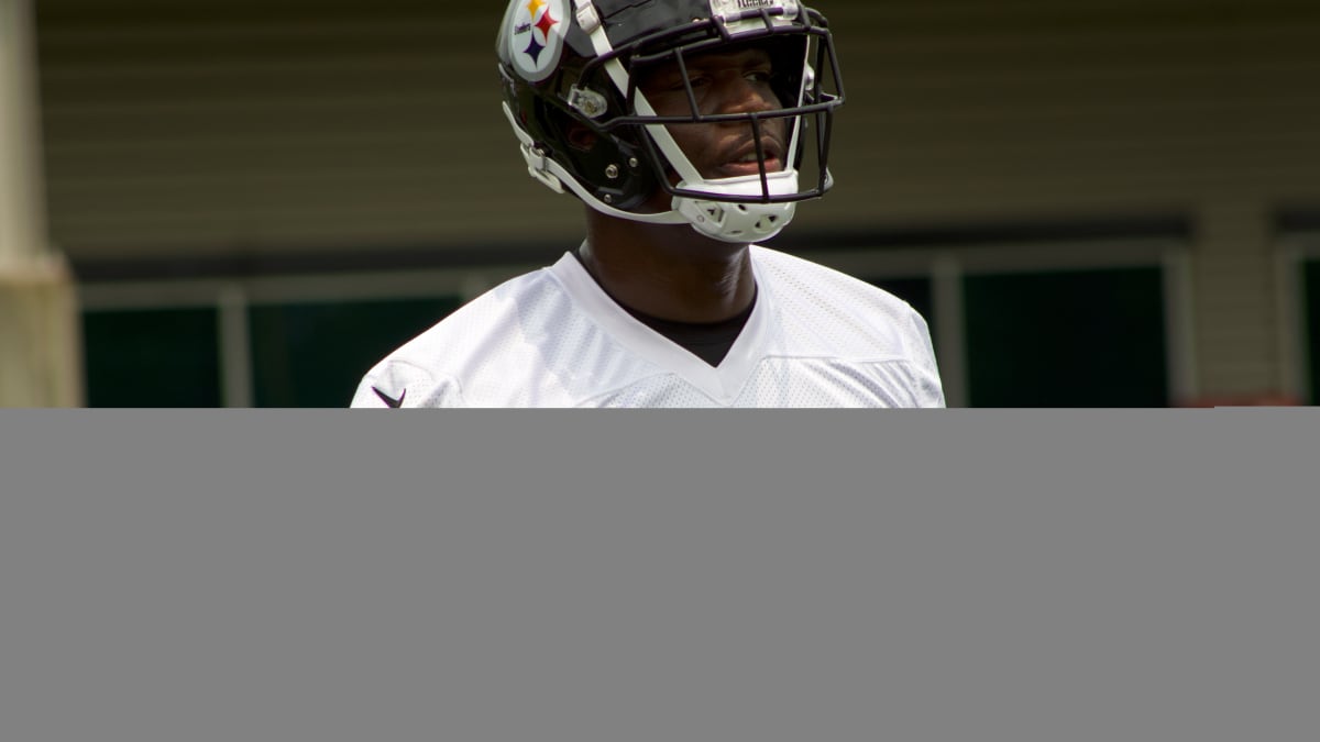 Pittsburgh Steelers TE Darnell Washington Evolving Quickly